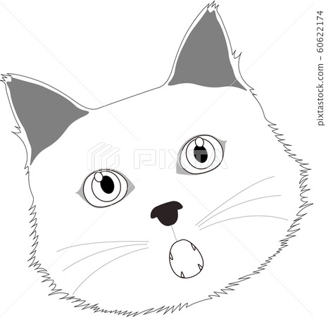 Surprised white cat face 60622174