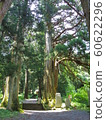 Old cedar of Kumano Shrine 60622296