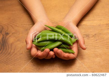 Child's hand holding a snap pea Child's hand holding a snap pea 60622467