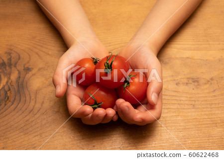 Child's hand holding cherry tomato Child's hand holding cherry tomato 60622468