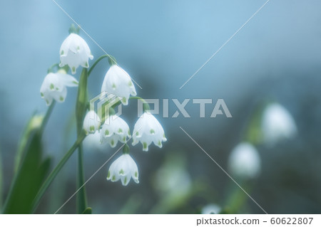 Cute snowflake 60622807