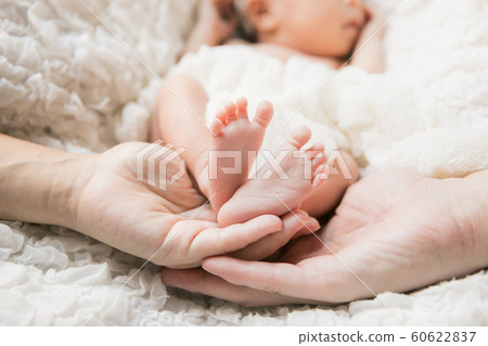 新生兒包裹在父母手中 新生兒包裹在父母手中 60622837