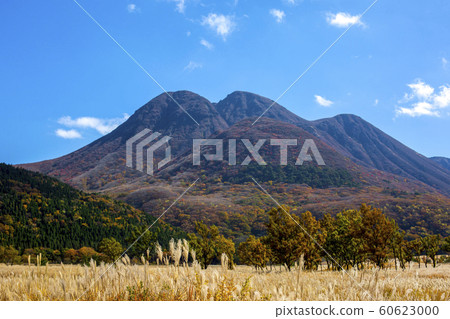 Chodaihara秋葉和Ssu 60623000