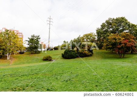 [Hokkaido] Hiragishi Takadai Park Summer 60624801