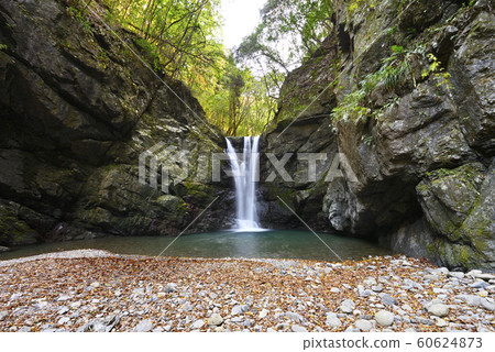 Mitaki Waterfall (Takihata, Kawachinagano City, Osaka Prefecture) 60624873