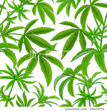 hemp vector pattern 60624956