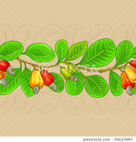 cashew vector pattern cashew vector pattern 60624965