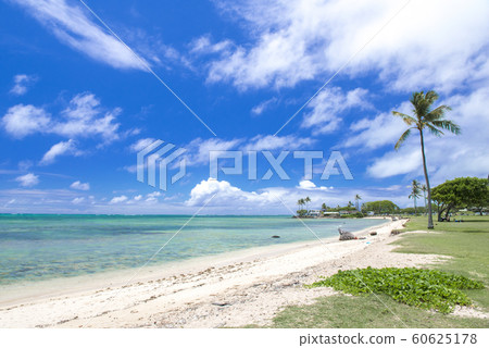 [Hawaii] Waikiki Beach 60625178