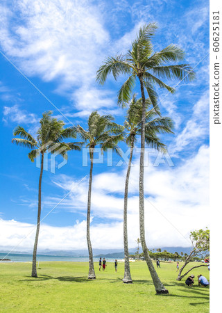 [Hawaii] Waikiki Beach 60625181
