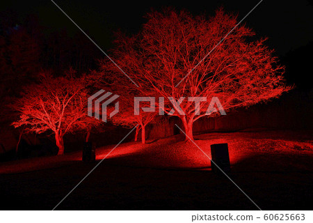 Kyoto Illumination Synastasia Hills (Nantan City, Kyoto Prefecture) 60625663