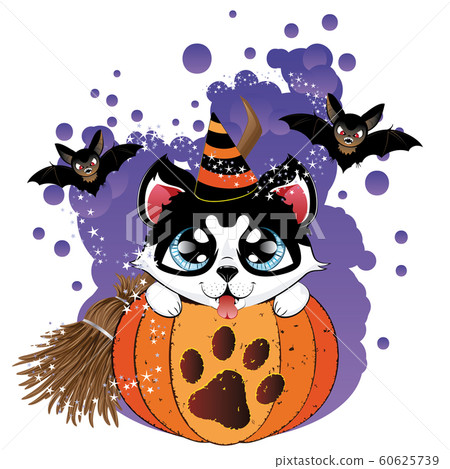 Husky in Pumpkin Husky in Pumpkin 60625739