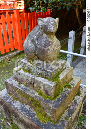 Otoyo Shrine's mouse rat (Kyoto City) Otoyo Shrine's mouse rat (Kyoto City) 60626444