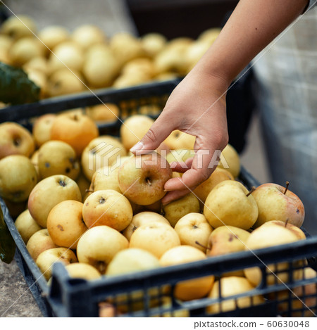 Fresh garden yellow apples 60630048