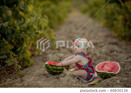 A newborn girl sits on the bare ground between rows of green grapes next to a red watermelon 60630136