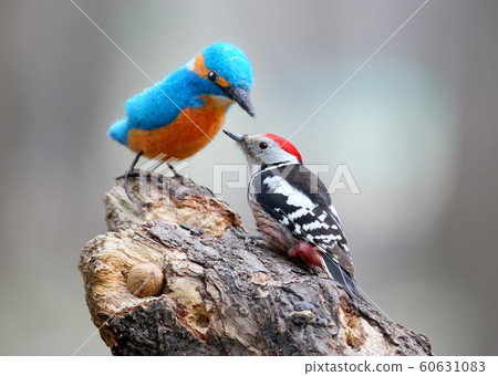 Middle spotted woodpecker With a stuffed bird. Middle spotted woodpecker With a stuffed bird. 60631083