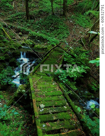 Takanosu mountain trail 60632791
