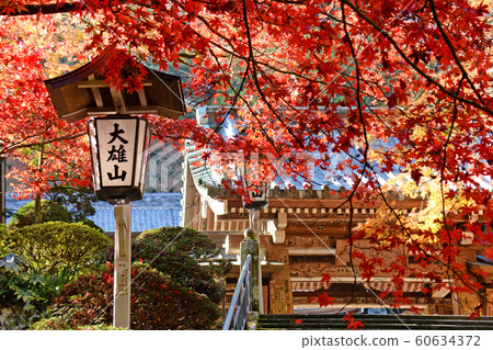 Daiyuzan Saijoji Temple, Autumn (Minamiashigara City, Kanagawa Prefecture) Daiyuzan Saijoji Temple, Autumn (Minamiashigara City, Kanagawa Prefecture) 60634372