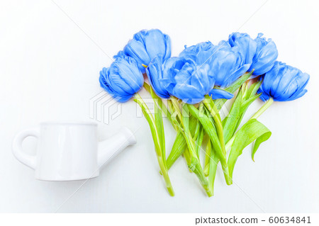 Bouquet of fresh tulips flowers colored in trendy 60634841