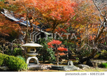 Dec. Autumn leaves at 1024 Kakuenji, Kamakura Dec. Autumn leaves at 1024 Kakuenji, Kamakura 60635184