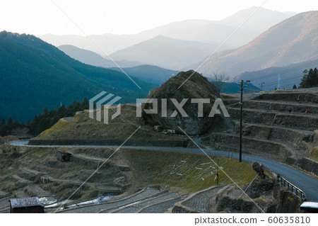 丸山千枚田12月1日 60635810