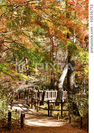 Songnisan Sejo-gil, Soknisan, Boeun-gun, Chungbuk, South Korea 60636758