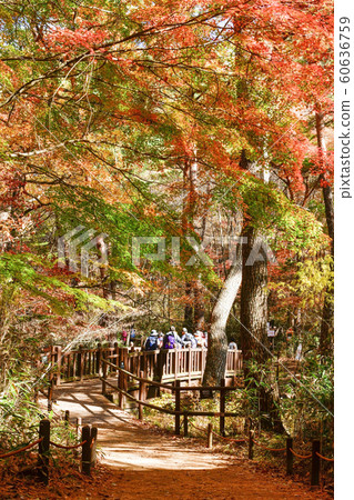 Songnisan Sejo-gil, Soknisan, Boeun-gun, Chungbuk, South Korea 60636759