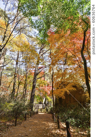 Songnisan Sejo-gil, Soknisan, Boeun-gun, Chungbuk, South Korea 60636764