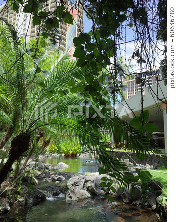 花園_夏威夷村 花園_夏威夷村 60636780