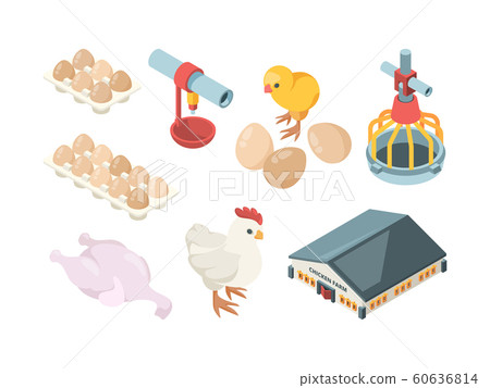 Chicken production. Agriculture industry bio organic bird feeding poultry workers and farm buildings vector isometric Chicken production. Agriculture industry bio organic bird feeding poultry workers and farm buildings vector isometric 60636814
