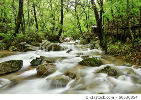 Songnisan Sejo-gil, Soknisan, Boeun-gun, Chungbuk, South Korea 60636854