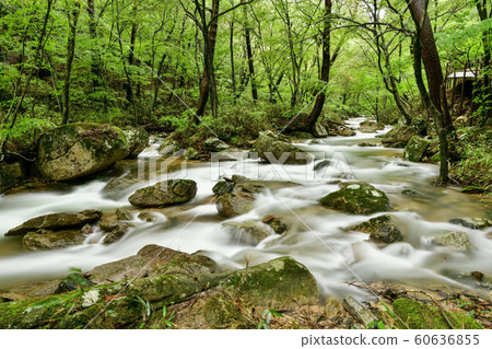 Songnisan Sejo-gil, Soknisan, Boeun-gun, Chungbuk, South Korea 60636855
