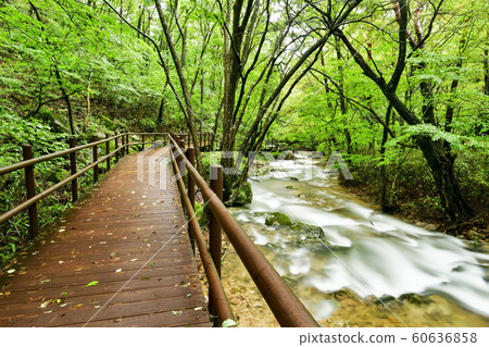Songnisan Sejo-gil, Soknisan, Boeun-gun, Chungbuk, South Korea 60636858