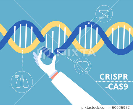 Crispr cas9 concept. Biochemical engineering medical gen research mutation biology dna modification vector background 60636982