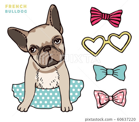 French bulldog. Cute puppy bulldog with accessorises. Dress up your dog vector illlustration French bulldog. Cute puppy bulldog with accessorises. Dress up your dog vector illlustration 60637220