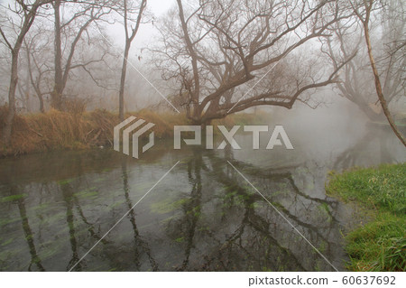 Azumino winter, foggy morning Azumino winter, foggy morning 60637692