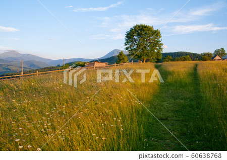 Sunset in mountains 60638768