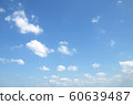 sky 60639487