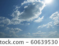 sky 60639530