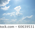 sky 60639531