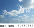 sky 60639532