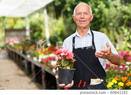 Senior man in glasshouse Senior man in glasshouse 60641281