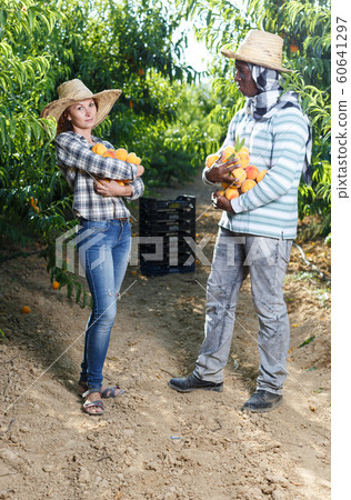 Owners of orchard with peaches in hands Owners of orchard with peaches in hands 60641297
