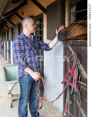 Mature man holding a surcingle and standing near horse at farm Mature man holding a surcingle and standing near horse at farm 60641317