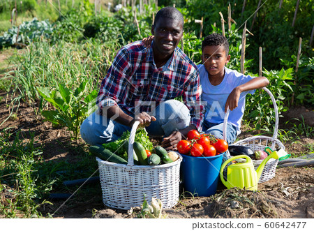 Happy family with harvest of vegetables in the garden 60642477