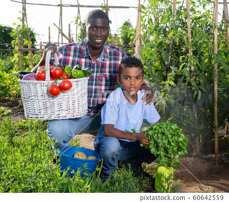 Happy family with harvest of vegetables in the garden 60642559