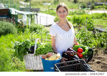 Girl farmer with basket and box of vegetables in the garden Girl farmer with basket and box of vegetables in the garden 60642967