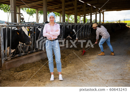 Young female breeder in cowshed Young female breeder in cowshed 60643243