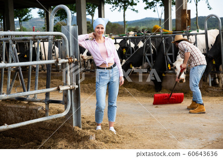 Confident woman farmer standing near cow and man working Confident woman farmer standing near cow and man working 60643636
