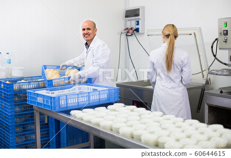 Workers on cheese production factory . Workers on cheese production factory . 60644615