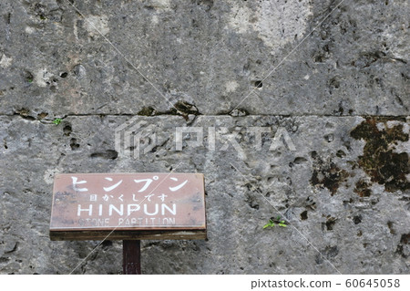 Nakamura House 60645058